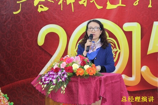 2015��������ʱ�Ƽ�ӭ������