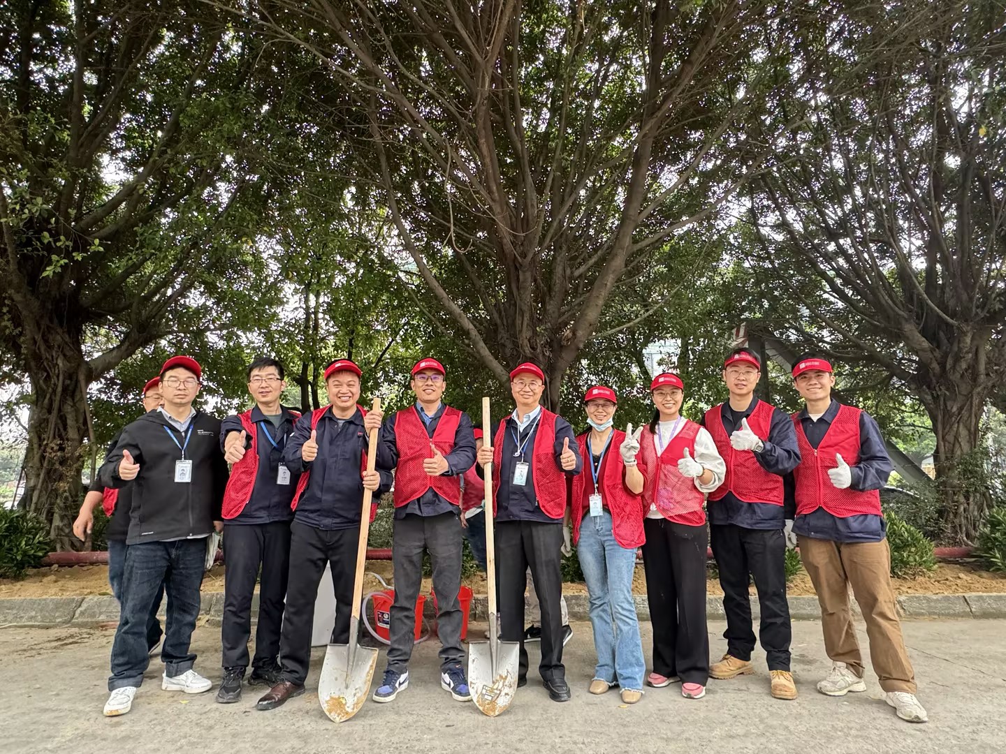 2024��������ʱ�Ƽ�ֲһĨ���� ��һ��ϣ��ֲ����